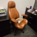 Chestnut Lifeform Ultimate Executive High-Back Office Task Chair